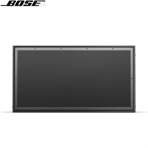 Loa Bose ArenaMatch AM20 3